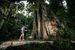 BIB: 
                            <button type="button" onclick="openModal(26261414)" class="btn btn-primary btn-sm float-right btn-popup" data-toggle="modal" data-target=".modal-high-quality">
                        <i class="fas fa-shopping-cart"></i> Add to Cart
                    </button>
                                            <button type="button" onclick="isThisMe(26261414, true)" class="btn btn-success btn-sm float-right btn-popup btn-isme hidden" data-toggle="tooltip" data-placement="bottom" title="นี่คือรูปของคุณใช่ไหม คลิกที่นี่เพื่อเอาเข้าอัลบั้ม">
                        <i class="fas fa-plus"></i> Add to album
                    </button>
                    <button type="button" onclick="isThisMe(26261414, false)" class="btn btn-warning btn-sm float-right btn-popup btn-isnotme hidden">
                        <i class="fas fa-ban"></i> Remove from album
                    </button>