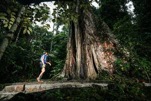 BIB: 
                            <button type="button" onclick="openModal(26261406)" class="btn btn-primary btn-sm float-right btn-popup" data-toggle="modal" data-target=".modal-high-quality">
                        <i class="fas fa-shopping-cart"></i> Add to Cart
                    </button>
                                            <button type="button" onclick="isThisMe(26261406, true)" class="btn btn-success btn-sm float-right btn-popup btn-isme hidden" data-toggle="tooltip" data-placement="bottom" title="นี่คือรูปของคุณใช่ไหม คลิกที่นี่เพื่อเอาเข้าอัลบั้ม">
                        <i class="fas fa-plus"></i> Add to album
                    </button>
                    <button type="button" onclick="isThisMe(26261406, false)" class="btn btn-warning btn-sm float-right btn-popup btn-isnotme hidden">
                        <i class="fas fa-ban"></i> Remove from album
                    </button>