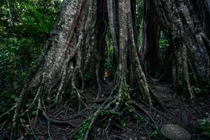 BIB: 
                            <button type="button" onclick="openModal(26260397)" class="btn btn-primary btn-sm float-right btn-popup" data-toggle="modal" data-target=".modal-high-quality">
                        <i class="fas fa-shopping-cart"></i> Add to Cart
                    </button>
                                            <button type="button" onclick="isThisMe(26260397, true)" class="btn btn-success btn-sm float-right btn-popup btn-isme hidden" data-toggle="tooltip" data-placement="bottom" title="นี่คือรูปของคุณใช่ไหม คลิกที่นี่เพื่อเอาเข้าอัลบั้ม">
                        <i class="fas fa-plus"></i> Add to album
                    </button>
                    <button type="button" onclick="isThisMe(26260397, false)" class="btn btn-warning btn-sm float-right btn-popup btn-isnotme hidden">
                        <i class="fas fa-ban"></i> Remove from album
                    </button>