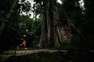 BIB: 
                            <button type="button" onclick="openModal(26261384)" class="btn btn-primary btn-sm float-right btn-popup" data-toggle="modal" data-target=".modal-high-quality">
                        <i class="fas fa-shopping-cart"></i> Add to Cart
                    </button>
                                            <button type="button" onclick="isThisMe(26261384, true)" class="btn btn-success btn-sm float-right btn-popup btn-isme hidden" data-toggle="tooltip" data-placement="bottom" title="นี่คือรูปของคุณใช่ไหม คลิกที่นี่เพื่อเอาเข้าอัลบั้ม">
                        <i class="fas fa-plus"></i> Add to album
                    </button>
                    <button type="button" onclick="isThisMe(26261384, false)" class="btn btn-warning btn-sm float-right btn-popup btn-isnotme hidden">
                        <i class="fas fa-ban"></i> Remove from album
                    </button>