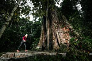 BIB: 
                            <button type="button" onclick="openModal(26261499)" class="btn btn-primary btn-sm float-right btn-popup" data-toggle="modal" data-target=".modal-high-quality">
                        <i class="fas fa-shopping-cart"></i> Add to Cart
                    </button>
                                            <button type="button" onclick="isThisMe(26261499, true)" class="btn btn-success btn-sm float-right btn-popup btn-isme hidden" data-toggle="tooltip" data-placement="bottom" title="นี่คือรูปของคุณใช่ไหม คลิกที่นี่เพื่อเอาเข้าอัลบั้ม">
                        <i class="fas fa-plus"></i> Add to album
                    </button>
                    <button type="button" onclick="isThisMe(26261499, false)" class="btn btn-warning btn-sm float-right btn-popup btn-isnotme hidden">
                        <i class="fas fa-ban"></i> Remove from album
                    </button>