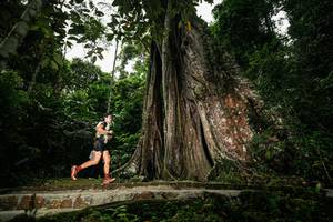 BIB: 
                            <button type="button" onclick="openModal(26261317)" class="btn btn-primary btn-sm float-right btn-popup" data-toggle="modal" data-target=".modal-high-quality">
                        <i class="fas fa-shopping-cart"></i> Add to Cart
                    </button>
                                            <button type="button" onclick="isThisMe(26261317, true)" class="btn btn-success btn-sm float-right btn-popup btn-isme hidden" data-toggle="tooltip" data-placement="bottom" title="นี่คือรูปของคุณใช่ไหม คลิกที่นี่เพื่อเอาเข้าอัลบั้ม">
                        <i class="fas fa-plus"></i> Add to album
                    </button>
                    <button type="button" onclick="isThisMe(26261317, false)" class="btn btn-warning btn-sm float-right btn-popup btn-isnotme hidden">
                        <i class="fas fa-ban"></i> Remove from album
                    </button>