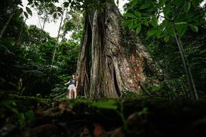 BIB: 
                            <button type="button" onclick="openModal(26260640)" class="btn btn-primary btn-sm float-right btn-popup" data-toggle="modal" data-target=".modal-high-quality">
                        <i class="fas fa-shopping-cart"></i> Add to Cart
                    </button>
                                            <button type="button" onclick="isThisMe(26260640, true)" class="btn btn-success btn-sm float-right btn-popup btn-isme hidden" data-toggle="tooltip" data-placement="bottom" title="นี่คือรูปของคุณใช่ไหม คลิกที่นี่เพื่อเอาเข้าอัลบั้ม">
                        <i class="fas fa-plus"></i> Add to album
                    </button>
                    <button type="button" onclick="isThisMe(26260640, false)" class="btn btn-warning btn-sm float-right btn-popup btn-isnotme hidden">
                        <i class="fas fa-ban"></i> Remove from album
                    </button>