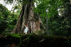 BIB: 
                            <button type="button" onclick="openModal(26260774)" class="btn btn-primary btn-sm float-right btn-popup" data-toggle="modal" data-target=".modal-high-quality">
                        <i class="fas fa-shopping-cart"></i> Add to Cart
                    </button>
                                            <button type="button" onclick="isThisMe(26260774, true)" class="btn btn-success btn-sm float-right btn-popup btn-isme hidden" data-toggle="tooltip" data-placement="bottom" title="นี่คือรูปของคุณใช่ไหม คลิกที่นี่เพื่อเอาเข้าอัลบั้ม">
                        <i class="fas fa-plus"></i> Add to album
                    </button>
                    <button type="button" onclick="isThisMe(26260774, false)" class="btn btn-warning btn-sm float-right btn-popup btn-isnotme hidden">
                        <i class="fas fa-ban"></i> Remove from album
                    </button>