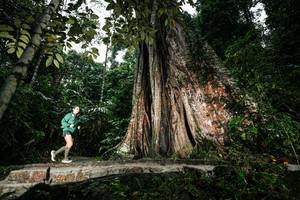 BIB: 
                            <button type="button" onclick="openModal(26261462)" class="btn btn-primary btn-sm float-right btn-popup" data-toggle="modal" data-target=".modal-high-quality">
                        <i class="fas fa-shopping-cart"></i> Add to Cart
                    </button>
                                            <button type="button" onclick="isThisMe(26261462, true)" class="btn btn-success btn-sm float-right btn-popup btn-isme hidden" data-toggle="tooltip" data-placement="bottom" title="นี่คือรูปของคุณใช่ไหม คลิกที่นี่เพื่อเอาเข้าอัลบั้ม">
                        <i class="fas fa-plus"></i> Add to album
                    </button>
                    <button type="button" onclick="isThisMe(26261462, false)" class="btn btn-warning btn-sm float-right btn-popup btn-isnotme hidden">
                        <i class="fas fa-ban"></i> Remove from album
                    </button>