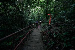 BIB: 
                            <button type="button" onclick="openModal(26260093)" class="btn btn-primary btn-sm float-right btn-popup" data-toggle="modal" data-target=".modal-high-quality">
                        <i class="fas fa-shopping-cart"></i> Add to Cart
                    </button>
                                            <button type="button" onclick="isThisMe(26260093, true)" class="btn btn-success btn-sm float-right btn-popup btn-isme hidden" data-toggle="tooltip" data-placement="bottom" title="นี่คือรูปของคุณใช่ไหม คลิกที่นี่เพื่อเอาเข้าอัลบั้ม">
                        <i class="fas fa-plus"></i> Add to album
                    </button>
                    <button type="button" onclick="isThisMe(26260093, false)" class="btn btn-warning btn-sm float-right btn-popup btn-isnotme hidden">
                        <i class="fas fa-ban"></i> Remove from album
                    </button>