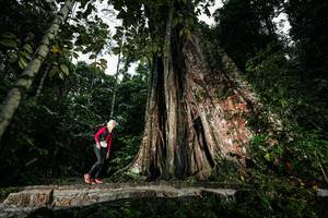 BIB: 
                            <button type="button" onclick="openModal(26261504)" class="btn btn-primary btn-sm float-right btn-popup" data-toggle="modal" data-target=".modal-high-quality">
                        <i class="fas fa-shopping-cart"></i> Add to Cart
                    </button>
                                            <button type="button" onclick="isThisMe(26261504, true)" class="btn btn-success btn-sm float-right btn-popup btn-isme hidden" data-toggle="tooltip" data-placement="bottom" title="นี่คือรูปของคุณใช่ไหม คลิกที่นี่เพื่อเอาเข้าอัลบั้ม">
                        <i class="fas fa-plus"></i> Add to album
                    </button>
                    <button type="button" onclick="isThisMe(26261504, false)" class="btn btn-warning btn-sm float-right btn-popup btn-isnotme hidden">
                        <i class="fas fa-ban"></i> Remove from album
                    </button>