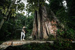 BIB: 
                            <button type="button" onclick="openModal(26261452)" class="btn btn-primary btn-sm float-right btn-popup" data-toggle="modal" data-target=".modal-high-quality">
                        <i class="fas fa-shopping-cart"></i> Add to Cart
                    </button>
                                            <button type="button" onclick="isThisMe(26261452, true)" class="btn btn-success btn-sm float-right btn-popup btn-isme hidden" data-toggle="tooltip" data-placement="bottom" title="นี่คือรูปของคุณใช่ไหม คลิกที่นี่เพื่อเอาเข้าอัลบั้ม">
                        <i class="fas fa-plus"></i> Add to album
                    </button>
                    <button type="button" onclick="isThisMe(26261452, false)" class="btn btn-warning btn-sm float-right btn-popup btn-isnotme hidden">
                        <i class="fas fa-ban"></i> Remove from album
                    </button>