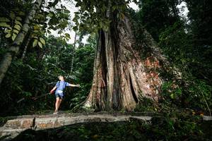 BIB: 
                            <button type="button" onclick="openModal(26261419)" class="btn btn-primary btn-sm float-right btn-popup" data-toggle="modal" data-target=".modal-high-quality">
                        <i class="fas fa-shopping-cart"></i> Add to Cart
                    </button>
                                            <button type="button" onclick="isThisMe(26261419, true)" class="btn btn-success btn-sm float-right btn-popup btn-isme hidden" data-toggle="tooltip" data-placement="bottom" title="นี่คือรูปของคุณใช่ไหม คลิกที่นี่เพื่อเอาเข้าอัลบั้ม">
                        <i class="fas fa-plus"></i> Add to album
                    </button>
                    <button type="button" onclick="isThisMe(26261419, false)" class="btn btn-warning btn-sm float-right btn-popup btn-isnotme hidden">
                        <i class="fas fa-ban"></i> Remove from album
                    </button>