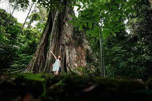 BIB: 
                            <button type="button" onclick="openModal(26260770)" class="btn btn-primary btn-sm float-right btn-popup" data-toggle="modal" data-target=".modal-high-quality">
                        <i class="fas fa-shopping-cart"></i> Add to Cart
                    </button>
                                            <button type="button" onclick="isThisMe(26260770, true)" class="btn btn-success btn-sm float-right btn-popup btn-isme hidden" data-toggle="tooltip" data-placement="bottom" title="นี่คือรูปของคุณใช่ไหม คลิกที่นี่เพื่อเอาเข้าอัลบั้ม">
                        <i class="fas fa-plus"></i> Add to album
                    </button>
                    <button type="button" onclick="isThisMe(26260770, false)" class="btn btn-warning btn-sm float-right btn-popup btn-isnotme hidden">
                        <i class="fas fa-ban"></i> Remove from album
                    </button>