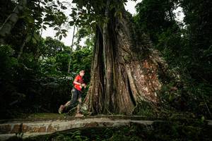 BIB: 
                            <button type="button" onclick="openModal(26261351)" class="btn btn-primary btn-sm float-right btn-popup" data-toggle="modal" data-target=".modal-high-quality">
                        <i class="fas fa-shopping-cart"></i> Add to Cart
                    </button>
                                            <button type="button" onclick="isThisMe(26261351, true)" class="btn btn-success btn-sm float-right btn-popup btn-isme hidden" data-toggle="tooltip" data-placement="bottom" title="นี่คือรูปของคุณใช่ไหม คลิกที่นี่เพื่อเอาเข้าอัลบั้ม">
                        <i class="fas fa-plus"></i> Add to album
                    </button>
                    <button type="button" onclick="isThisMe(26261351, false)" class="btn btn-warning btn-sm float-right btn-popup btn-isnotme hidden">
                        <i class="fas fa-ban"></i> Remove from album
                    </button>