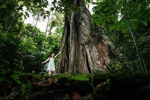 BIB: 
                            <button type="button" onclick="openModal(26260786)" class="btn btn-primary btn-sm float-right btn-popup" data-toggle="modal" data-target=".modal-high-quality">
                        <i class="fas fa-shopping-cart"></i> Add to Cart
                    </button>
                                            <button type="button" onclick="isThisMe(26260786, true)" class="btn btn-success btn-sm float-right btn-popup btn-isme hidden" data-toggle="tooltip" data-placement="bottom" title="นี่คือรูปของคุณใช่ไหม คลิกที่นี่เพื่อเอาเข้าอัลบั้ม">
                        <i class="fas fa-plus"></i> Add to album
                    </button>
                    <button type="button" onclick="isThisMe(26260786, false)" class="btn btn-warning btn-sm float-right btn-popup btn-isnotme hidden">
                        <i class="fas fa-ban"></i> Remove from album
                    </button>