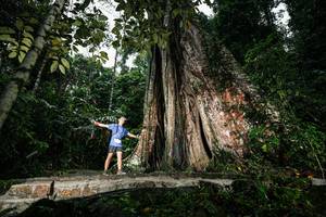 BIB: 
                            <button type="button" onclick="openModal(26261448)" class="btn btn-primary btn-sm float-right btn-popup" data-toggle="modal" data-target=".modal-high-quality">
                        <i class="fas fa-shopping-cart"></i> Add to Cart
                    </button>
                                            <button type="button" onclick="isThisMe(26261448, true)" class="btn btn-success btn-sm float-right btn-popup btn-isme hidden" data-toggle="tooltip" data-placement="bottom" title="นี่คือรูปของคุณใช่ไหม คลิกที่นี่เพื่อเอาเข้าอัลบั้ม">
                        <i class="fas fa-plus"></i> Add to album
                    </button>
                    <button type="button" onclick="isThisMe(26261448, false)" class="btn btn-warning btn-sm float-right btn-popup btn-isnotme hidden">
                        <i class="fas fa-ban"></i> Remove from album
                    </button>