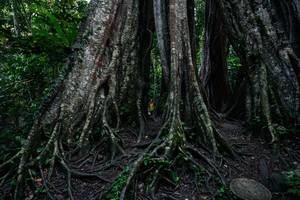 BIB: 
                            <button type="button" onclick="openModal(26260394)" class="btn btn-primary btn-sm float-right btn-popup" data-toggle="modal" data-target=".modal-high-quality">
                        <i class="fas fa-shopping-cart"></i> Add to Cart
                    </button>
                                            <button type="button" onclick="isThisMe(26260394, true)" class="btn btn-success btn-sm float-right btn-popup btn-isme hidden" data-toggle="tooltip" data-placement="bottom" title="นี่คือรูปของคุณใช่ไหม คลิกที่นี่เพื่อเอาเข้าอัลบั้ม">
                        <i class="fas fa-plus"></i> Add to album
                    </button>
                    <button type="button" onclick="isThisMe(26260394, false)" class="btn btn-warning btn-sm float-right btn-popup btn-isnotme hidden">
                        <i class="fas fa-ban"></i> Remove from album
                    </button>