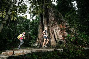 BIB: 
                            <button type="button" onclick="openModal(26261481)" class="btn btn-primary btn-sm float-right btn-popup" data-toggle="modal" data-target=".modal-high-quality">
                        <i class="fas fa-shopping-cart"></i> Add to Cart
                    </button>
                                            <button type="button" onclick="isThisMe(26261481, true)" class="btn btn-success btn-sm float-right btn-popup btn-isme hidden" data-toggle="tooltip" data-placement="bottom" title="นี่คือรูปของคุณใช่ไหม คลิกที่นี่เพื่อเอาเข้าอัลบั้ม">
                        <i class="fas fa-plus"></i> Add to album
                    </button>
                    <button type="button" onclick="isThisMe(26261481, false)" class="btn btn-warning btn-sm float-right btn-popup btn-isnotme hidden">
                        <i class="fas fa-ban"></i> Remove from album
                    </button>