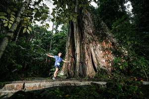 BIB: 
                            <button type="button" onclick="openModal(26261455)" class="btn btn-primary btn-sm float-right btn-popup" data-toggle="modal" data-target=".modal-high-quality">
                        <i class="fas fa-shopping-cart"></i> Add to Cart
                    </button>
                                            <button type="button" onclick="isThisMe(26261455, true)" class="btn btn-success btn-sm float-right btn-popup btn-isme hidden" data-toggle="tooltip" data-placement="bottom" title="นี่คือรูปของคุณใช่ไหม คลิกที่นี่เพื่อเอาเข้าอัลบั้ม">
                        <i class="fas fa-plus"></i> Add to album
                    </button>
                    <button type="button" onclick="isThisMe(26261455, false)" class="btn btn-warning btn-sm float-right btn-popup btn-isnotme hidden">
                        <i class="fas fa-ban"></i> Remove from album
                    </button>