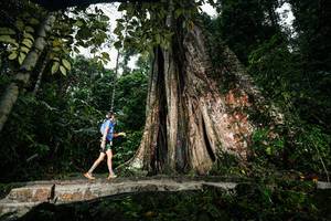 BIB: 
                            <button type="button" onclick="openModal(26261409)" class="btn btn-primary btn-sm float-right btn-popup" data-toggle="modal" data-target=".modal-high-quality">
                        <i class="fas fa-shopping-cart"></i> Add to Cart
                    </button>
                                            <button type="button" onclick="isThisMe(26261409, true)" class="btn btn-success btn-sm float-right btn-popup btn-isme hidden" data-toggle="tooltip" data-placement="bottom" title="นี่คือรูปของคุณใช่ไหม คลิกที่นี่เพื่อเอาเข้าอัลบั้ม">
                        <i class="fas fa-plus"></i> Add to album
                    </button>
                    <button type="button" onclick="isThisMe(26261409, false)" class="btn btn-warning btn-sm float-right btn-popup btn-isnotme hidden">
                        <i class="fas fa-ban"></i> Remove from album
                    </button>