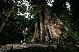 BIB: 
                            <button type="button" onclick="openModal(26261515)" class="btn btn-primary btn-sm float-right btn-popup" data-toggle="modal" data-target=".modal-high-quality">
                        <i class="fas fa-shopping-cart"></i> Add to Cart
                    </button>
                                            <button type="button" onclick="isThisMe(26261515, true)" class="btn btn-success btn-sm float-right btn-popup btn-isme hidden" data-toggle="tooltip" data-placement="bottom" title="นี่คือรูปของคุณใช่ไหม คลิกที่นี่เพื่อเอาเข้าอัลบั้ม">
                        <i class="fas fa-plus"></i> Add to album
                    </button>
                    <button type="button" onclick="isThisMe(26261515, false)" class="btn btn-warning btn-sm float-right btn-popup btn-isnotme hidden">
                        <i class="fas fa-ban"></i> Remove from album
                    </button>