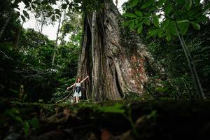 BIB: 
                            <button type="button" onclick="openModal(26260615)" class="btn btn-primary btn-sm float-right btn-popup" data-toggle="modal" data-target=".modal-high-quality">
                        <i class="fas fa-shopping-cart"></i> Add to Cart
                    </button>
                                            <button type="button" onclick="isThisMe(26260615, true)" class="btn btn-success btn-sm float-right btn-popup btn-isme hidden" data-toggle="tooltip" data-placement="bottom" title="นี่คือรูปของคุณใช่ไหม คลิกที่นี่เพื่อเอาเข้าอัลบั้ม">
                        <i class="fas fa-plus"></i> Add to album
                    </button>
                    <button type="button" onclick="isThisMe(26260615, false)" class="btn btn-warning btn-sm float-right btn-popup btn-isnotme hidden">
                        <i class="fas fa-ban"></i> Remove from album
                    </button>