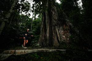 BIB: 
                            <button type="button" onclick="openModal(26261383)" class="btn btn-primary btn-sm float-right btn-popup" data-toggle="modal" data-target=".modal-high-quality">
                        <i class="fas fa-shopping-cart"></i> Add to Cart
                    </button>
                                            <button type="button" onclick="isThisMe(26261383, true)" class="btn btn-success btn-sm float-right btn-popup btn-isme hidden" data-toggle="tooltip" data-placement="bottom" title="นี่คือรูปของคุณใช่ไหม คลิกที่นี่เพื่อเอาเข้าอัลบั้ม">
                        <i class="fas fa-plus"></i> Add to album
                    </button>
                    <button type="button" onclick="isThisMe(26261383, false)" class="btn btn-warning btn-sm float-right btn-popup btn-isnotme hidden">
                        <i class="fas fa-ban"></i> Remove from album
                    </button>