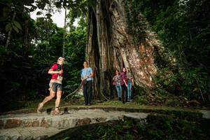 BIB: 
                            <button type="button" onclick="openModal(26261126)" class="btn btn-primary btn-sm float-right btn-popup" data-toggle="modal" data-target=".modal-high-quality">
                        <i class="fas fa-shopping-cart"></i> Add to Cart
                    </button>
                                            <button type="button" onclick="isThisMe(26261126, true)" class="btn btn-success btn-sm float-right btn-popup btn-isme hidden" data-toggle="tooltip" data-placement="bottom" title="นี่คือรูปของคุณใช่ไหม คลิกที่นี่เพื่อเอาเข้าอัลบั้ม">
                        <i class="fas fa-plus"></i> Add to album
                    </button>
                    <button type="button" onclick="isThisMe(26261126, false)" class="btn btn-warning btn-sm float-right btn-popup btn-isnotme hidden">
                        <i class="fas fa-ban"></i> Remove from album
                    </button>