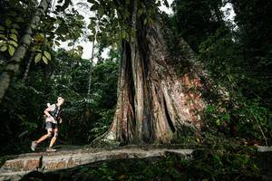 BIB: 
                            <button type="button" onclick="openModal(26261476)" class="btn btn-primary btn-sm float-right btn-popup" data-toggle="modal" data-target=".modal-high-quality">
                        <i class="fas fa-shopping-cart"></i> Add to Cart
                    </button>
                                            <button type="button" onclick="isThisMe(26261476, true)" class="btn btn-success btn-sm float-right btn-popup btn-isme hidden" data-toggle="tooltip" data-placement="bottom" title="นี่คือรูปของคุณใช่ไหม คลิกที่นี่เพื่อเอาเข้าอัลบั้ม">
                        <i class="fas fa-plus"></i> Add to album
                    </button>
                    <button type="button" onclick="isThisMe(26261476, false)" class="btn btn-warning btn-sm float-right btn-popup btn-isnotme hidden">
                        <i class="fas fa-ban"></i> Remove from album
                    </button>