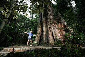 BIB: 
                            <button type="button" onclick="openModal(26261450)" class="btn btn-primary btn-sm float-right btn-popup" data-toggle="modal" data-target=".modal-high-quality">
                        <i class="fas fa-shopping-cart"></i> Add to Cart
                    </button>
                                            <button type="button" onclick="isThisMe(26261450, true)" class="btn btn-success btn-sm float-right btn-popup btn-isme hidden" data-toggle="tooltip" data-placement="bottom" title="นี่คือรูปของคุณใช่ไหม คลิกที่นี่เพื่อเอาเข้าอัลบั้ม">
                        <i class="fas fa-plus"></i> Add to album
                    </button>
                    <button type="button" onclick="isThisMe(26261450, false)" class="btn btn-warning btn-sm float-right btn-popup btn-isnotme hidden">
                        <i class="fas fa-ban"></i> Remove from album
                    </button>