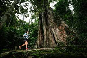 BIB: 
                            <button type="button" onclick="openModal(26260884)" class="btn btn-primary btn-sm float-right btn-popup" data-toggle="modal" data-target=".modal-high-quality">
                        <i class="fas fa-shopping-cart"></i> Add to Cart
                    </button>
                                            <button type="button" onclick="isThisMe(26260884, true)" class="btn btn-success btn-sm float-right btn-popup btn-isme hidden" data-toggle="tooltip" data-placement="bottom" title="นี่คือรูปของคุณใช่ไหม คลิกที่นี่เพื่อเอาเข้าอัลบั้ม">
                        <i class="fas fa-plus"></i> Add to album
                    </button>
                    <button type="button" onclick="isThisMe(26260884, false)" class="btn btn-warning btn-sm float-right btn-popup btn-isnotme hidden">
                        <i class="fas fa-ban"></i> Remove from album
                    </button>