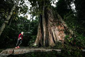 BIB: 
                            <button type="button" onclick="openModal(26261493)" class="btn btn-primary btn-sm float-right btn-popup" data-toggle="modal" data-target=".modal-high-quality">
                        <i class="fas fa-shopping-cart"></i> Add to Cart
                    </button>
                                            <button type="button" onclick="isThisMe(26261493, true)" class="btn btn-success btn-sm float-right btn-popup btn-isme hidden" data-toggle="tooltip" data-placement="bottom" title="นี่คือรูปของคุณใช่ไหม คลิกที่นี่เพื่อเอาเข้าอัลบั้ม">
                        <i class="fas fa-plus"></i> Add to album
                    </button>
                    <button type="button" onclick="isThisMe(26261493, false)" class="btn btn-warning btn-sm float-right btn-popup btn-isnotme hidden">
                        <i class="fas fa-ban"></i> Remove from album
                    </button>