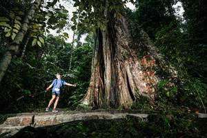 BIB: 
                            <button type="button" onclick="openModal(26261413)" class="btn btn-primary btn-sm float-right btn-popup" data-toggle="modal" data-target=".modal-high-quality">
                        <i class="fas fa-shopping-cart"></i> Add to Cart
                    </button>
                                            <button type="button" onclick="isThisMe(26261413, true)" class="btn btn-success btn-sm float-right btn-popup btn-isme hidden" data-toggle="tooltip" data-placement="bottom" title="นี่คือรูปของคุณใช่ไหม คลิกที่นี่เพื่อเอาเข้าอัลบั้ม">
                        <i class="fas fa-plus"></i> Add to album
                    </button>
                    <button type="button" onclick="isThisMe(26261413, false)" class="btn btn-warning btn-sm float-right btn-popup btn-isnotme hidden">
                        <i class="fas fa-ban"></i> Remove from album
                    </button>