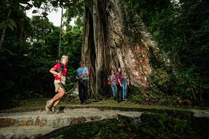 BIB: 
                            <button type="button" onclick="openModal(26261146)" class="btn btn-primary btn-sm float-right btn-popup" data-toggle="modal" data-target=".modal-high-quality">
                        <i class="fas fa-shopping-cart"></i> Add to Cart
                    </button>
                                            <button type="button" onclick="isThisMe(26261146, true)" class="btn btn-success btn-sm float-right btn-popup btn-isme hidden" data-toggle="tooltip" data-placement="bottom" title="นี่คือรูปของคุณใช่ไหม คลิกที่นี่เพื่อเอาเข้าอัลบั้ม">
                        <i class="fas fa-plus"></i> Add to album
                    </button>
                    <button type="button" onclick="isThisMe(26261146, false)" class="btn btn-warning btn-sm float-right btn-popup btn-isnotme hidden">
                        <i class="fas fa-ban"></i> Remove from album
                    </button>