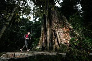 BIB: 
                            <button type="button" onclick="openModal(26261512)" class="btn btn-primary btn-sm float-right btn-popup" data-toggle="modal" data-target=".modal-high-quality">
                        <i class="fas fa-shopping-cart"></i> Add to Cart
                    </button>
                                            <button type="button" onclick="isThisMe(26261512, true)" class="btn btn-success btn-sm float-right btn-popup btn-isme hidden" data-toggle="tooltip" data-placement="bottom" title="นี่คือรูปของคุณใช่ไหม คลิกที่นี่เพื่อเอาเข้าอัลบั้ม">
                        <i class="fas fa-plus"></i> Add to album
                    </button>
                    <button type="button" onclick="isThisMe(26261512, false)" class="btn btn-warning btn-sm float-right btn-popup btn-isnotme hidden">
                        <i class="fas fa-ban"></i> Remove from album
                    </button>