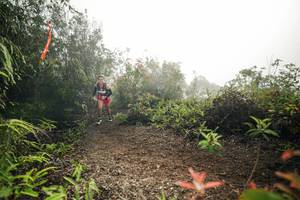 BIB: 
                            <button type="button" onclick="openModal(26485856)" class="btn btn-primary btn-sm float-right btn-popup" data-toggle="modal" data-target=".modal-high-quality">
                        <i class="fas fa-shopping-cart"></i> Add to Cart
                    </button>
                                            <button type="button" onclick="isThisMe(26485856, true)" class="btn btn-success btn-sm float-right btn-popup btn-isme hidden" data-toggle="tooltip" data-placement="bottom" title="นี่คือรูปของคุณใช่ไหม คลิกที่นี่เพื่อเอาเข้าอัลบั้ม">
                        <i class="fas fa-plus"></i> Add to album
                    </button>
                    <button type="button" onclick="isThisMe(26485856, false)" class="btn btn-warning btn-sm float-right btn-popup btn-isnotme hidden">
                        <i class="fas fa-ban"></i> Remove from album
                    </button>