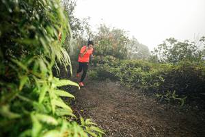 BIB: 
                            <button type="button" onclick="openModal(26485799)" class="btn btn-primary btn-sm float-right btn-popup" data-toggle="modal" data-target=".modal-high-quality">
                        <i class="fas fa-shopping-cart"></i> Add to Cart
                    </button>
                                            <button type="button" onclick="isThisMe(26485799, true)" class="btn btn-success btn-sm float-right btn-popup btn-isme hidden" data-toggle="tooltip" data-placement="bottom" title="นี่คือรูปของคุณใช่ไหม คลิกที่นี่เพื่อเอาเข้าอัลบั้ม">
                        <i class="fas fa-plus"></i> Add to album
                    </button>
                    <button type="button" onclick="isThisMe(26485799, false)" class="btn btn-warning btn-sm float-right btn-popup btn-isnotme hidden">
                        <i class="fas fa-ban"></i> Remove from album
                    </button>