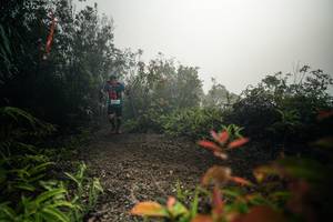 BIB: 
                            <button type="button" onclick="openModal(26486124)" class="btn btn-primary btn-sm float-right btn-popup" data-toggle="modal" data-target=".modal-high-quality">
                        <i class="fas fa-shopping-cart"></i> Add to Cart
                    </button>
                                            <button type="button" onclick="isThisMe(26486124, true)" class="btn btn-success btn-sm float-right btn-popup btn-isme hidden" data-toggle="tooltip" data-placement="bottom" title="นี่คือรูปของคุณใช่ไหม คลิกที่นี่เพื่อเอาเข้าอัลบั้ม">
                        <i class="fas fa-plus"></i> Add to album
                    </button>
                    <button type="button" onclick="isThisMe(26486124, false)" class="btn btn-warning btn-sm float-right btn-popup btn-isnotme hidden">
                        <i class="fas fa-ban"></i> Remove from album
                    </button>