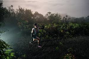 BIB: 
                            <button type="button" onclick="openModal(26475007)" class="btn btn-primary btn-sm float-right btn-popup" data-toggle="modal" data-target=".modal-high-quality">
                        <i class="fas fa-shopping-cart"></i> Add to Cart
                    </button>
                                            <button type="button" onclick="isThisMe(26475007, true)" class="btn btn-success btn-sm float-right btn-popup btn-isme hidden" data-toggle="tooltip" data-placement="bottom" title="นี่คือรูปของคุณใช่ไหม คลิกที่นี่เพื่อเอาเข้าอัลบั้ม">
                        <i class="fas fa-plus"></i> Add to album
                    </button>
                    <button type="button" onclick="isThisMe(26475007, false)" class="btn btn-warning btn-sm float-right btn-popup btn-isnotme hidden">
                        <i class="fas fa-ban"></i> Remove from album
                    </button>