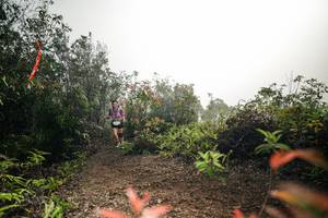 BIB: 
                            <button type="button" onclick="openModal(26485961)" class="btn btn-primary btn-sm float-right btn-popup" data-toggle="modal" data-target=".modal-high-quality">
                        <i class="fas fa-shopping-cart"></i> Add to Cart
                    </button>
                                            <button type="button" onclick="isThisMe(26485961, true)" class="btn btn-success btn-sm float-right btn-popup btn-isme hidden" data-toggle="tooltip" data-placement="bottom" title="นี่คือรูปของคุณใช่ไหม คลิกที่นี่เพื่อเอาเข้าอัลบั้ม">
                        <i class="fas fa-plus"></i> Add to album
                    </button>
                    <button type="button" onclick="isThisMe(26485961, false)" class="btn btn-warning btn-sm float-right btn-popup btn-isnotme hidden">
                        <i class="fas fa-ban"></i> Remove from album
                    </button>