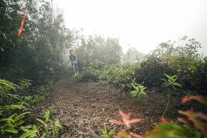 BIB: 
                            <button type="button" onclick="openModal(26485843)" class="btn btn-primary btn-sm float-right btn-popup" data-toggle="modal" data-target=".modal-high-quality">
                        <i class="fas fa-shopping-cart"></i> Add to Cart
                    </button>
                                            <button type="button" onclick="isThisMe(26485843, true)" class="btn btn-success btn-sm float-right btn-popup btn-isme hidden" data-toggle="tooltip" data-placement="bottom" title="นี่คือรูปของคุณใช่ไหม คลิกที่นี่เพื่อเอาเข้าอัลบั้ม">
                        <i class="fas fa-plus"></i> Add to album
                    </button>
                    <button type="button" onclick="isThisMe(26485843, false)" class="btn btn-warning btn-sm float-right btn-popup btn-isnotme hidden">
                        <i class="fas fa-ban"></i> Remove from album
                    </button>