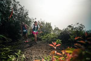 BIB: 
                            <button type="button" onclick="openModal(26486617)" class="btn btn-primary btn-sm float-right btn-popup" data-toggle="modal" data-target=".modal-high-quality">
                        <i class="fas fa-shopping-cart"></i> Add to Cart
                    </button>
                                            <button type="button" onclick="isThisMe(26486617, true)" class="btn btn-success btn-sm float-right btn-popup btn-isme hidden" data-toggle="tooltip" data-placement="bottom" title="นี่คือรูปของคุณใช่ไหม คลิกที่นี่เพื่อเอาเข้าอัลบั้ม">
                        <i class="fas fa-plus"></i> Add to album
                    </button>
                    <button type="button" onclick="isThisMe(26486617, false)" class="btn btn-warning btn-sm float-right btn-popup btn-isnotme hidden">
                        <i class="fas fa-ban"></i> Remove from album
                    </button>