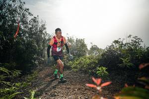 BIB: 
                            <button type="button" onclick="openModal(26486228)" class="btn btn-primary btn-sm float-right btn-popup" data-toggle="modal" data-target=".modal-high-quality">
                        <i class="fas fa-shopping-cart"></i> Add to Cart
                    </button>
                                            <button type="button" onclick="isThisMe(26486228, true)" class="btn btn-success btn-sm float-right btn-popup btn-isme hidden" data-toggle="tooltip" data-placement="bottom" title="นี่คือรูปของคุณใช่ไหม คลิกที่นี่เพื่อเอาเข้าอัลบั้ม">
                        <i class="fas fa-plus"></i> Add to album
                    </button>
                    <button type="button" onclick="isThisMe(26486228, false)" class="btn btn-warning btn-sm float-right btn-popup btn-isnotme hidden">
                        <i class="fas fa-ban"></i> Remove from album
                    </button>