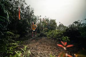 BIB: 
                            <button type="button" onclick="openModal(26486486)" class="btn btn-primary btn-sm float-right btn-popup" data-toggle="modal" data-target=".modal-high-quality">
                        <i class="fas fa-shopping-cart"></i> Add to Cart
                    </button>
                                            <button type="button" onclick="isThisMe(26486486, true)" class="btn btn-success btn-sm float-right btn-popup btn-isme hidden" data-toggle="tooltip" data-placement="bottom" title="นี่คือรูปของคุณใช่ไหม คลิกที่นี่เพื่อเอาเข้าอัลบั้ม">
                        <i class="fas fa-plus"></i> Add to album
                    </button>
                    <button type="button" onclick="isThisMe(26486486, false)" class="btn btn-warning btn-sm float-right btn-popup btn-isnotme hidden">
                        <i class="fas fa-ban"></i> Remove from album
                    </button>