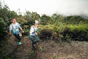 BIB: 
                            <button type="button" onclick="openModal(26496724)" class="btn btn-primary btn-sm float-right btn-popup" data-toggle="modal" data-target=".modal-high-quality">
                        <i class="fas fa-shopping-cart"></i> Add to Cart
                    </button>
                                            <button type="button" onclick="isThisMe(26496724, true)" class="btn btn-success btn-sm float-right btn-popup btn-isme hidden" data-toggle="tooltip" data-placement="bottom" title="นี่คือรูปของคุณใช่ไหม คลิกที่นี่เพื่อเอาเข้าอัลบั้ม">
                        <i class="fas fa-plus"></i> Add to album
                    </button>
                    <button type="button" onclick="isThisMe(26496724, false)" class="btn btn-warning btn-sm float-right btn-popup btn-isnotme hidden">
                        <i class="fas fa-ban"></i> Remove from album
                    </button>