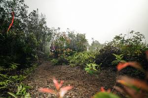 BIB: 
                            <button type="button" onclick="openModal(26485951)" class="btn btn-primary btn-sm float-right btn-popup" data-toggle="modal" data-target=".modal-high-quality">
                        <i class="fas fa-shopping-cart"></i> Add to Cart
                    </button>
                                            <button type="button" onclick="isThisMe(26485951, true)" class="btn btn-success btn-sm float-right btn-popup btn-isme hidden" data-toggle="tooltip" data-placement="bottom" title="นี่คือรูปของคุณใช่ไหม คลิกที่นี่เพื่อเอาเข้าอัลบั้ม">
                        <i class="fas fa-plus"></i> Add to album
                    </button>
                    <button type="button" onclick="isThisMe(26485951, false)" class="btn btn-warning btn-sm float-right btn-popup btn-isnotme hidden">
                        <i class="fas fa-ban"></i> Remove from album
                    </button>