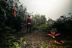 BIB: 
                            <button type="button" onclick="openModal(26486654)" class="btn btn-primary btn-sm float-right btn-popup" data-toggle="modal" data-target=".modal-high-quality">
                        <i class="fas fa-shopping-cart"></i> Add to Cart
                    </button>
                                            <button type="button" onclick="isThisMe(26486654, true)" class="btn btn-success btn-sm float-right btn-popup btn-isme hidden" data-toggle="tooltip" data-placement="bottom" title="นี่คือรูปของคุณใช่ไหม คลิกที่นี่เพื่อเอาเข้าอัลบั้ม">
                        <i class="fas fa-plus"></i> Add to album
                    </button>
                    <button type="button" onclick="isThisMe(26486654, false)" class="btn btn-warning btn-sm float-right btn-popup btn-isnotme hidden">
                        <i class="fas fa-ban"></i> Remove from album
                    </button>