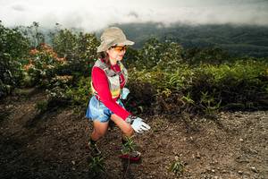 BIB: 
                            <button type="button" onclick="openModal(26497262)" class="btn btn-primary btn-sm float-right btn-popup" data-toggle="modal" data-target=".modal-high-quality">
                        <i class="fas fa-shopping-cart"></i> Add to Cart
                    </button>
                                            <button type="button" onclick="isThisMe(26497262, true)" class="btn btn-success btn-sm float-right btn-popup btn-isme hidden" data-toggle="tooltip" data-placement="bottom" title="นี่คือรูปของคุณใช่ไหม คลิกที่นี่เพื่อเอาเข้าอัลบั้ม">
                        <i class="fas fa-plus"></i> Add to album
                    </button>
                    <button type="button" onclick="isThisMe(26497262, false)" class="btn btn-warning btn-sm float-right btn-popup btn-isnotme hidden">
                        <i class="fas fa-ban"></i> Remove from album
                    </button>