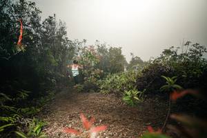 BIB: 
                            <button type="button" onclick="openModal(26486059)" class="btn btn-primary btn-sm float-right btn-popup" data-toggle="modal" data-target=".modal-high-quality">
                        <i class="fas fa-shopping-cart"></i> Add to Cart
                    </button>
                                            <button type="button" onclick="isThisMe(26486059, true)" class="btn btn-success btn-sm float-right btn-popup btn-isme hidden" data-toggle="tooltip" data-placement="bottom" title="นี่คือรูปของคุณใช่ไหม คลิกที่นี่เพื่อเอาเข้าอัลบั้ม">
                        <i class="fas fa-plus"></i> Add to album
                    </button>
                    <button type="button" onclick="isThisMe(26486059, false)" class="btn btn-warning btn-sm float-right btn-popup btn-isnotme hidden">
                        <i class="fas fa-ban"></i> Remove from album
                    </button>