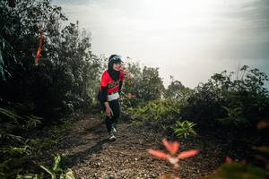 BIB: 
                            <button type="button" onclick="openModal(26486952)" class="btn btn-primary btn-sm float-right btn-popup" data-toggle="modal" data-target=".modal-high-quality">
                        <i class="fas fa-shopping-cart"></i> Add to Cart
                    </button>
                                            <button type="button" onclick="isThisMe(26486952, true)" class="btn btn-success btn-sm float-right btn-popup btn-isme hidden" data-toggle="tooltip" data-placement="bottom" title="นี่คือรูปของคุณใช่ไหม คลิกที่นี่เพื่อเอาเข้าอัลบั้ม">
                        <i class="fas fa-plus"></i> Add to album
                    </button>
                    <button type="button" onclick="isThisMe(26486952, false)" class="btn btn-warning btn-sm float-right btn-popup btn-isnotme hidden">
                        <i class="fas fa-ban"></i> Remove from album
                    </button>