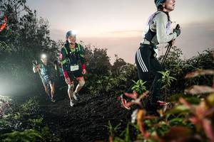 BIB: 
                            <button type="button" onclick="openModal(26474462)" class="btn btn-primary btn-sm float-right btn-popup" data-toggle="modal" data-target=".modal-high-quality">
                        <i class="fas fa-shopping-cart"></i> Add to Cart
                    </button>
                                            <button type="button" onclick="isThisMe(26474462, true)" class="btn btn-success btn-sm float-right btn-popup btn-isme hidden" data-toggle="tooltip" data-placement="bottom" title="นี่คือรูปของคุณใช่ไหม คลิกที่นี่เพื่อเอาเข้าอัลบั้ม">
                        <i class="fas fa-plus"></i> Add to album
                    </button>
                    <button type="button" onclick="isThisMe(26474462, false)" class="btn btn-warning btn-sm float-right btn-popup btn-isnotme hidden">
                        <i class="fas fa-ban"></i> Remove from album
                    </button>