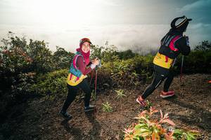 BIB: 
                            <button type="button" onclick="openModal(26488404)" class="btn btn-primary btn-sm float-right btn-popup" data-toggle="modal" data-target=".modal-high-quality">
                        <i class="fas fa-shopping-cart"></i> Add to Cart
                    </button>
                                            <button type="button" onclick="isThisMe(26488404, true)" class="btn btn-success btn-sm float-right btn-popup btn-isme hidden" data-toggle="tooltip" data-placement="bottom" title="นี่คือรูปของคุณใช่ไหม คลิกที่นี่เพื่อเอาเข้าอัลบั้ม">
                        <i class="fas fa-plus"></i> Add to album
                    </button>
                    <button type="button" onclick="isThisMe(26488404, false)" class="btn btn-warning btn-sm float-right btn-popup btn-isnotme hidden">
                        <i class="fas fa-ban"></i> Remove from album
                    </button>