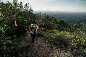 BIB: 
                            <button type="button" onclick="openModal(26497483)" class="btn btn-primary btn-sm float-right btn-popup" data-toggle="modal" data-target=".modal-high-quality">
                        <i class="fas fa-shopping-cart"></i> Add to Cart
                    </button>
                                            <button type="button" onclick="isThisMe(26497483, true)" class="btn btn-success btn-sm float-right btn-popup btn-isme hidden" data-toggle="tooltip" data-placement="bottom" title="นี่คือรูปของคุณใช่ไหม คลิกที่นี่เพื่อเอาเข้าอัลบั้ม">
                        <i class="fas fa-plus"></i> Add to album
                    </button>
                    <button type="button" onclick="isThisMe(26497483, false)" class="btn btn-warning btn-sm float-right btn-popup btn-isnotme hidden">
                        <i class="fas fa-ban"></i> Remove from album
                    </button>